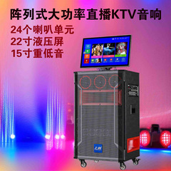 2025年新型 大音量 屋外パフォーマンス 歌唱用 Bluetoothスピーカー付き スクリーン内蔵型オールインワン音響機器（広場ダンス用）