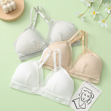 ����3109������������������Ů���ſ��Ը����ر������Ǳ�Ĩ������