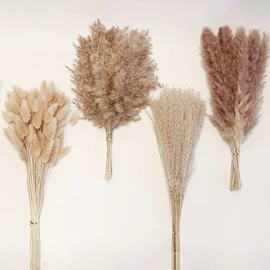 鲜花花艺制品;干花;永生花