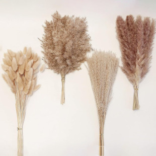 Cross-border source Yunnan dried flower bouquet combination real flower pampas grass home decoration reed rabbit tail grass dried flower