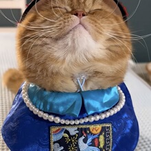 ����؈�������I��M��͈D���峯�نTCOSһƷ��T�����С��