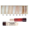 Hengfang Hengfang Cross -border E -commerce Makeup Aden Concealer Concealeer Highlight Shadow Concealer H8457