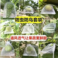 Фруктовая упаковка, оптовая продажа, сетчатый мешок для клубники, сетчатый мешок для защиты от птиц, светопропускающий сетчатый мешок для персика, помидора, инжира, винограда, сетчатый мешок для защиты от насекомых