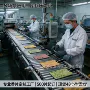 持久除异味车载车内香片