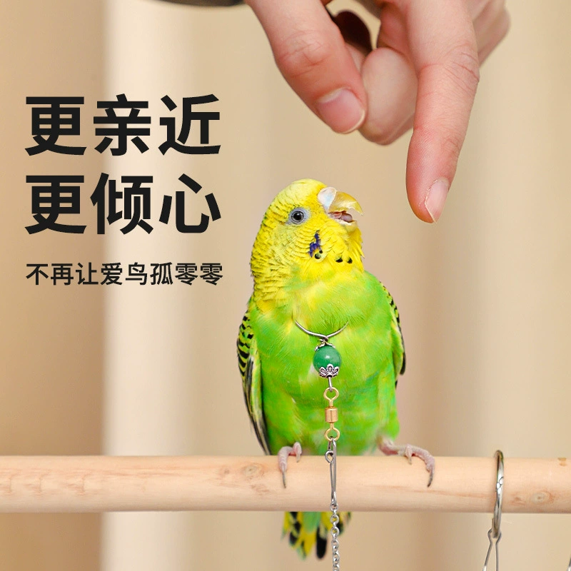 Чехол на шею в виде попугая из нержавеющей стали, тигровая кожа, Xuanfeng, цепочка на лодыжку с вышитым глазом, тренировочное кольцо для птиц на шею, летающая веревка