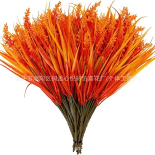 �羳���R�d �＾���洺�ݺ��޹�²��������컨�Ҿӻ�c�bٻ�