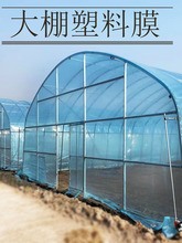 ���F�o��Ĥ�������ϱ�Ĥ�Ӻ�ů�Ժ�poĤʹ�É����L�߲˹Ϲ��rĤ