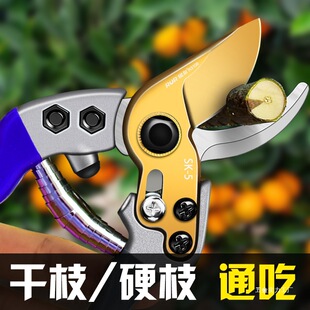 Gardening Shears, Fruit Tree Shears, Pruning Shears, Garden Branch Shears, Pruning Shears, Flower Shears, Branch Shears, Others