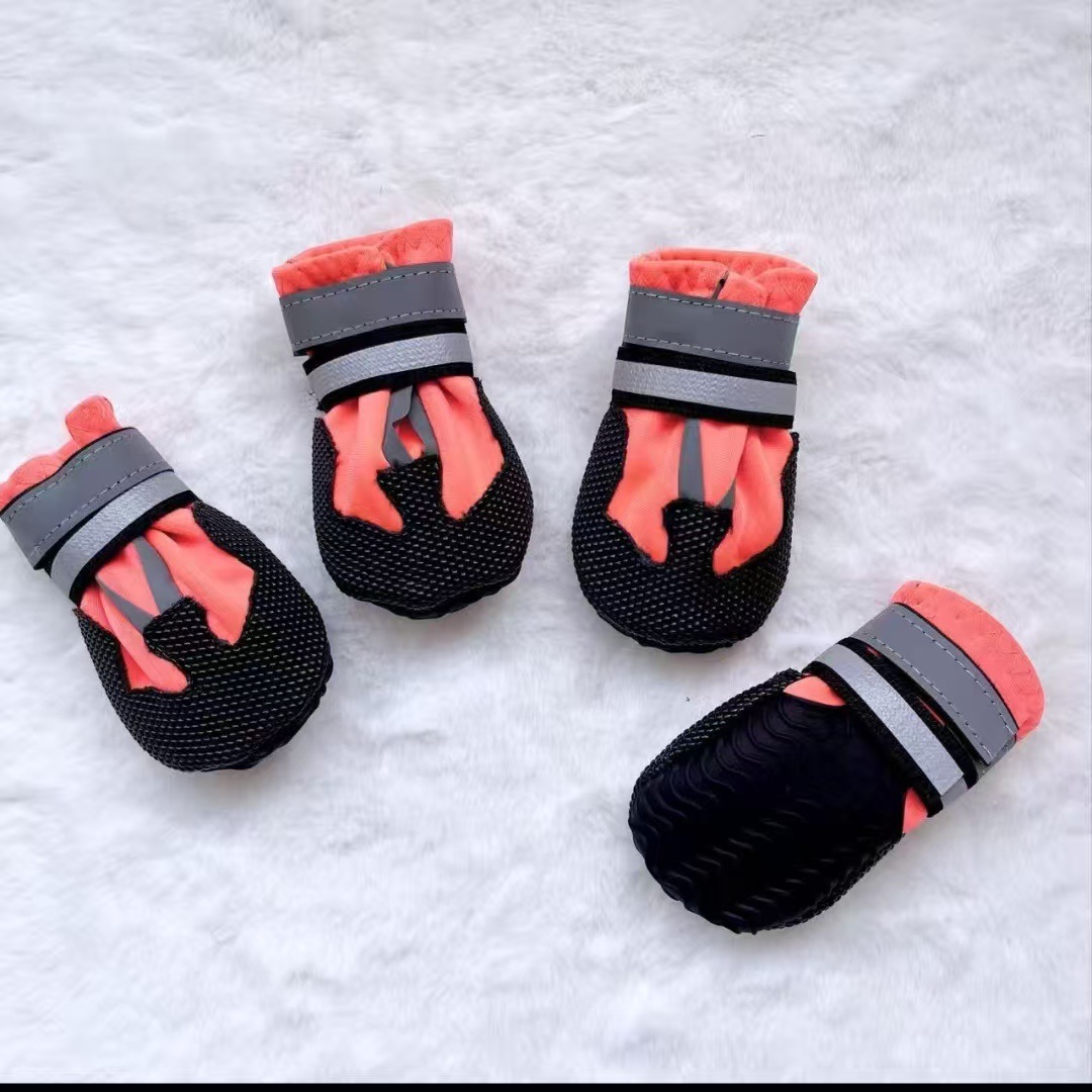 오렌지 [4개 세트]