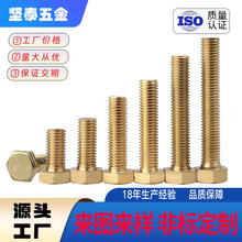 �S�~�������ݽz��ȫ�~�ݽz�S�~�ݽz��~����˨M4M6M10M16