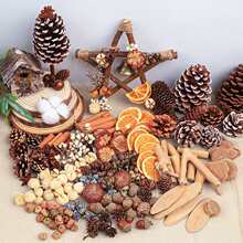 ֲ��DIY�ֹ����ϰ��׃��@�h���ɹ��ɻ��ɹ��������˱�