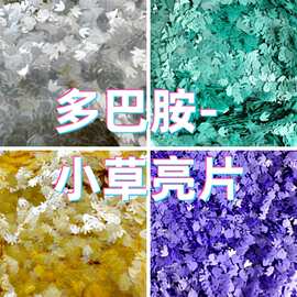 多巴胺小草异型耐溶剂流麻亮片diy手工滴胶火漆闪粉现货金葱粉