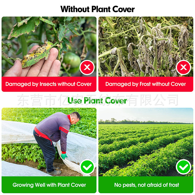 O1CN01XRdEZi1bWgVor7p2o_!!2924243473-0-cib.jpg?__r__=1722235696668