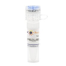 ����� A0216 �����^������ø��ӛɽ��С��IgG(H+L)