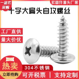 现货304不锈钢蘑菇头自攻螺丝伞头自攻钉TA  十字大扁头自攻螺丝