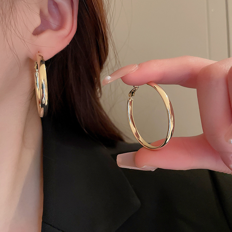 Silbernadel Hohlkreis Geometrisches Metall Übertriebenes Temperament Hochwertige Eleganz Schlichte Ringohrringe für Damen_voghion.com