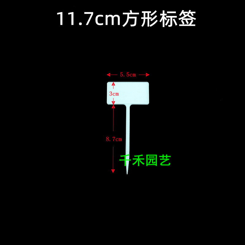 Blue 11.7cm square label