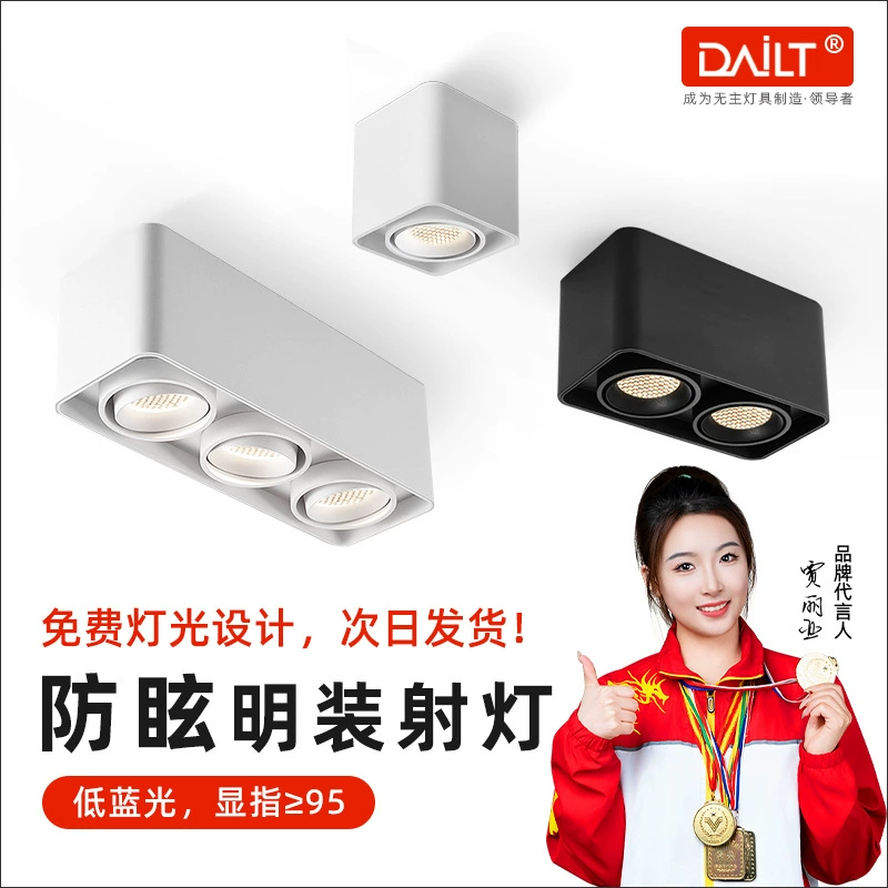 Гостиная и спальня без основного освещения, яркие светильники, регулируемые COB-светильники, потолочные точечные светильники с одной и двумя лампами, с регулируемой яркостью.