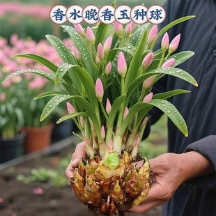 ���^�ذ�������N���_����ҹ����ͥԺ�҃����̨�����������ֲ��