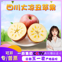 【嚴選】四川大涼山丑蘋果 代發2/8斤新鮮冰糖心脆甜應季富士水果