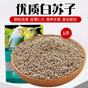 �K���Bʳ�°��K���B�Z�W�^���Bܽ���B��zȸ�Sȸ��Ƥܛ�K��500��