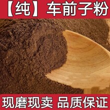 车前子粉中药材车前子粉正宗江西车前子粉现磨细粉无添加批发包邮