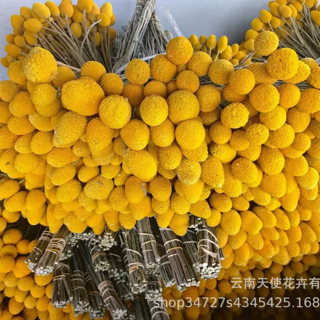 Золотые украшения для фотосессий, реквизит для фотографии, ручная работа
