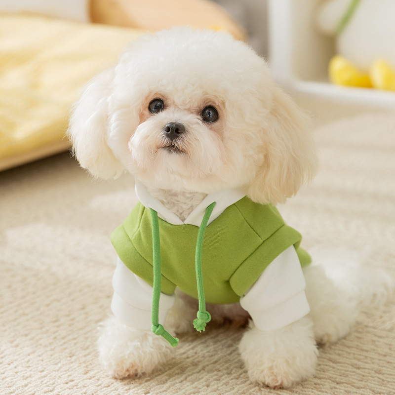 Color de contraste de empalme de la marea fresca de la corda de dibujo sudadera encapuchada dos patas de manga larga perros pequeños gatos mascotas ropa de perro al por mayor