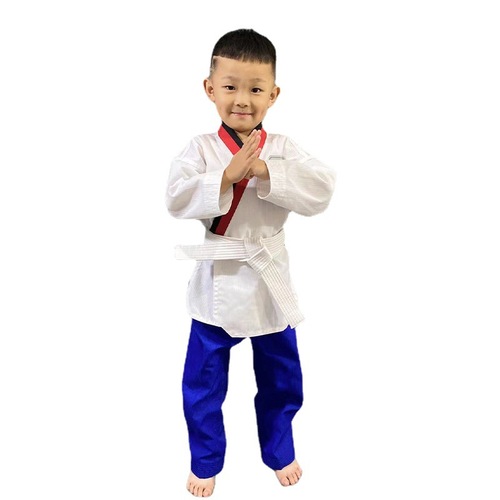 New Style Taekwondo Gi for Adults and Children, Unisex Taekwondo Performance Uniform, Training Uniform, Instructor Uniform Manufacturer