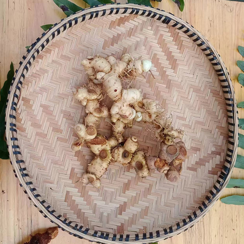 Wild Polygonatum Rhizome Huang Jing 1500g Whole Root for Soup and Herbal Wine in use