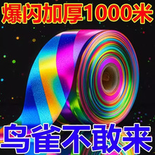 ��B�ʎ����⎧��B�Б����s�B���W���p�淴�⎧��B�p���������