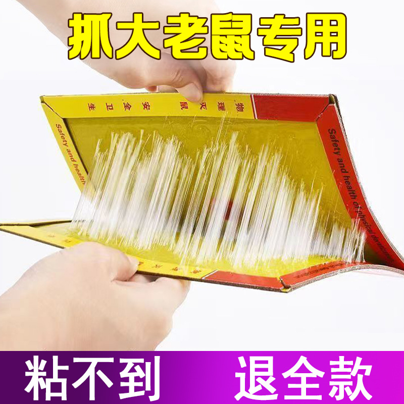 Sticky Mouse Board Mouse Trap Artifact Sticky Mouse Household Mouse Trap Strong Glue Mouse Sticker Super Sticky Indoor Special