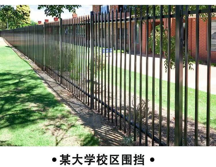 微信图片_20250829133919