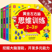 儿童黄金左右脑思维逻辑训练书2-6岁全脑开发书智力开发启蒙书
