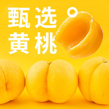ϲ����S��Ҭ���pƴ���^12�޼�ʳ����Ҭ����ˮ�����^��ʳ�Y��