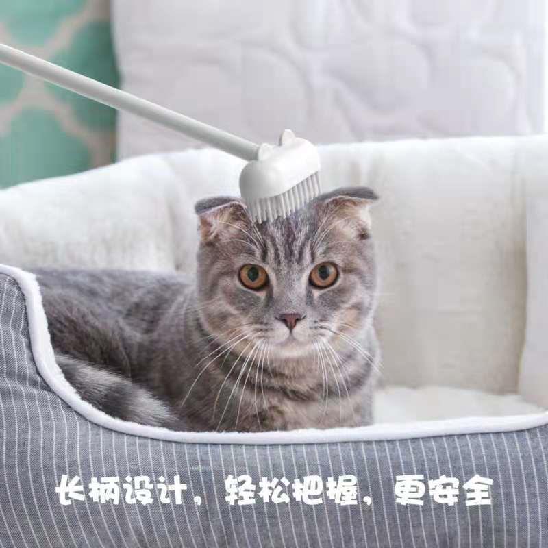 一键复制_20220805190846