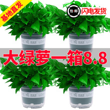 �G�}�҃�ˮ��G�}����ȩ�·�һ�k���҃ȃ����՚�G����G�j�Ԅ�