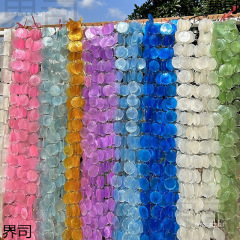 塔安婚庆道具云母片贝壳圆片薄片婚礼装饰摄影贝母片珠帘风赵之钱