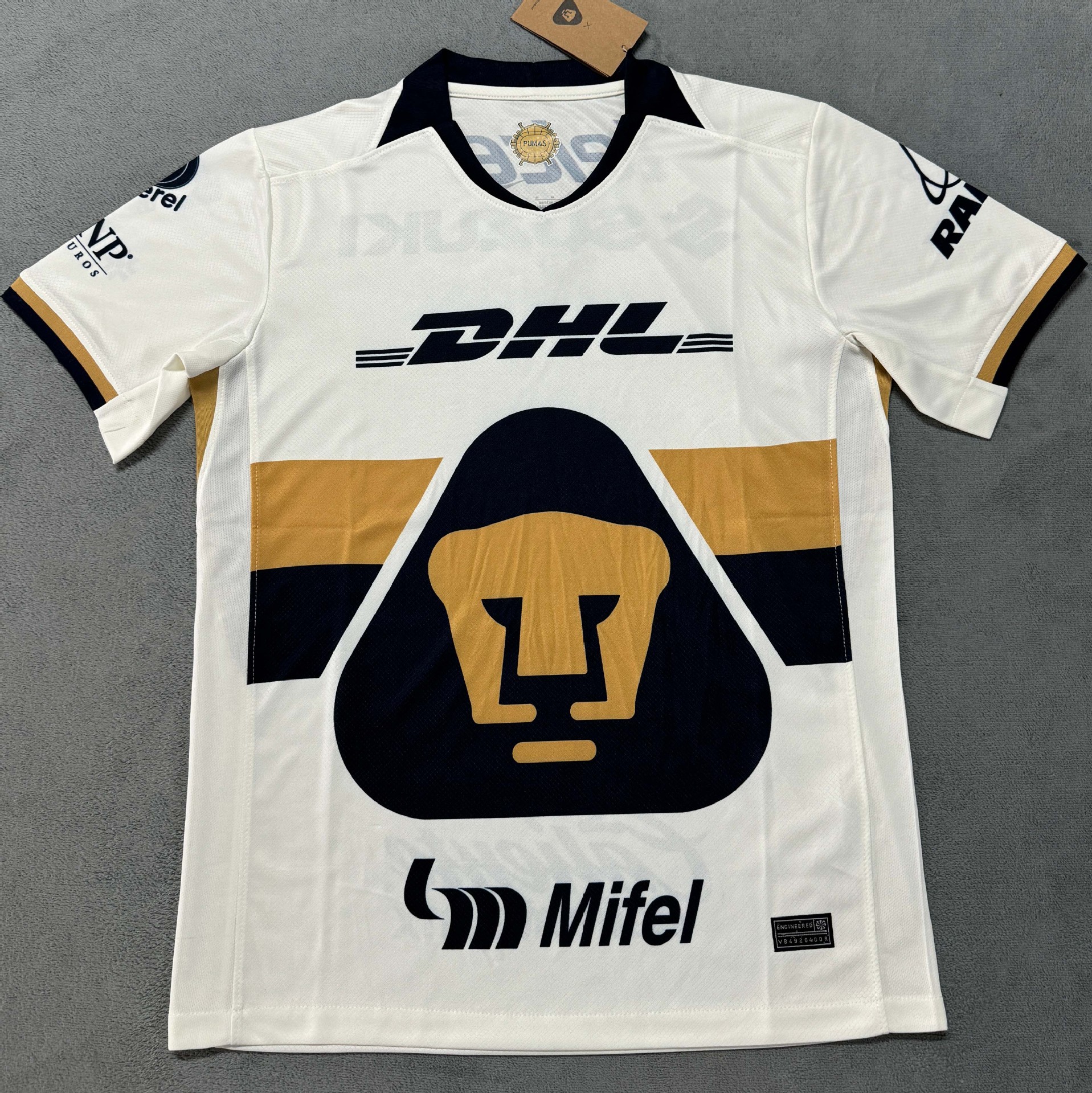 2526 쿠거 홈 스타디움