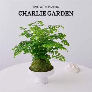 Fާ̦\ֲ҃B^Gֲ͏d辰k҃