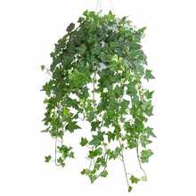 GֲGjkG}҃ȑҒ辰LٶֲLٽM