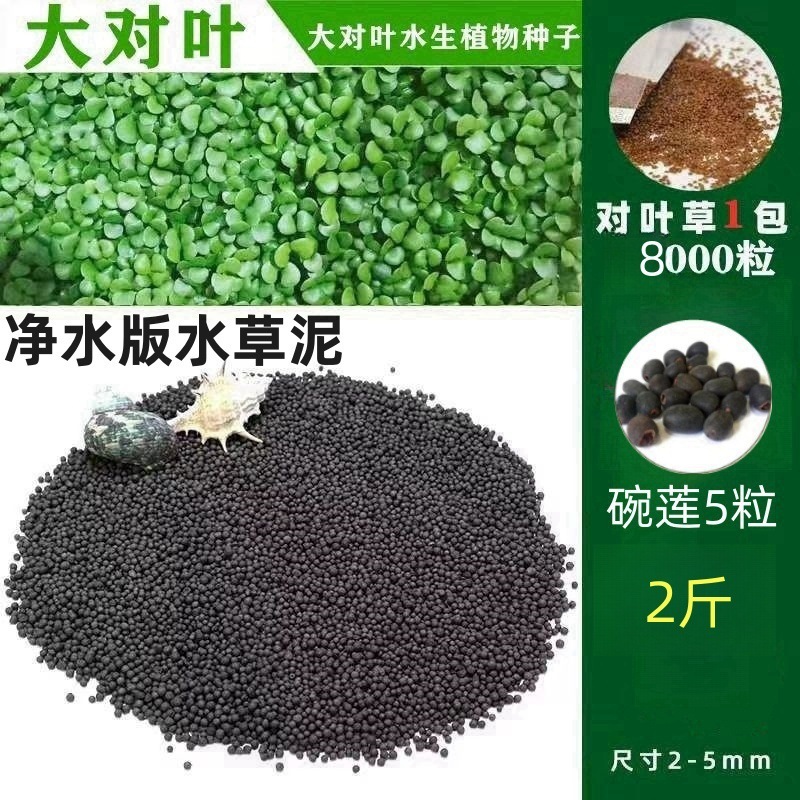 [핫세일] 워터그라스머드 1.0kg - 큰잎무료 8,000개 + 그릇연꽃 5개