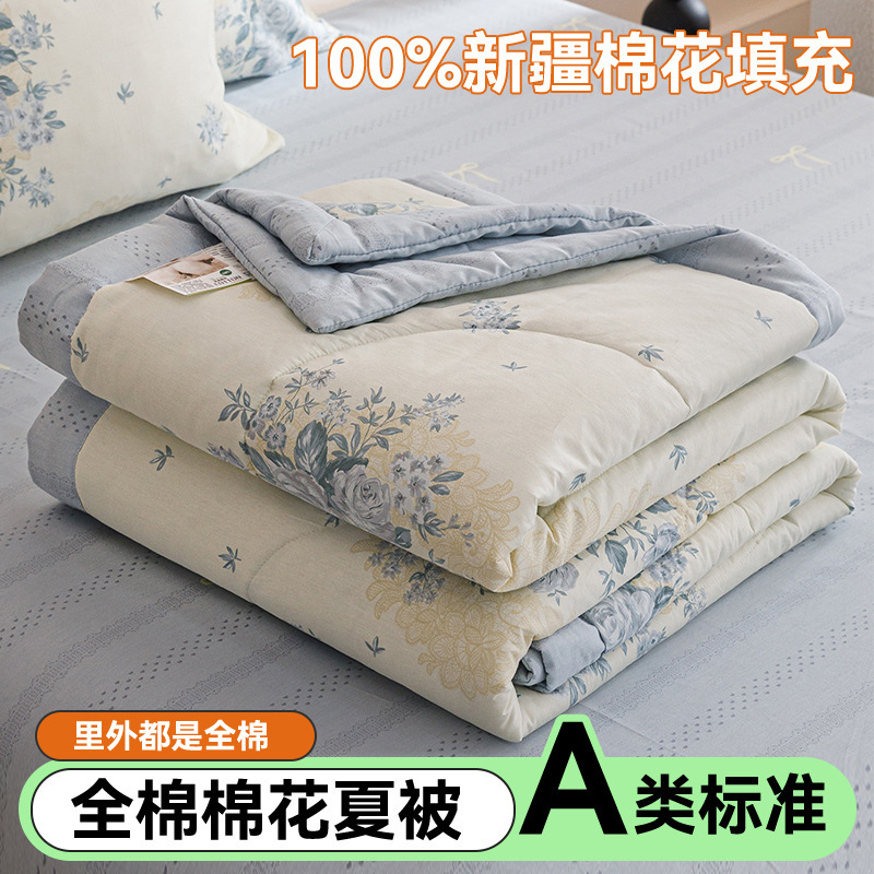 Edredón de aire acondicionado lavable de algodón de clase A, núcleo de edredón de algodón de Xinjiang, edredón de algodón impreso de verano, edredón de regalo doble