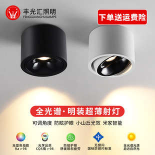 Ultra-thin surface mounted spotlight anti-glare angle adjustable hole-free small hill household headless lamp round downlight spotlight