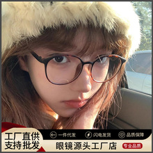 TR6814韩系冷茶色超轻6g近视眼镜女丹阳配镜网红同款眼镜框架批发
