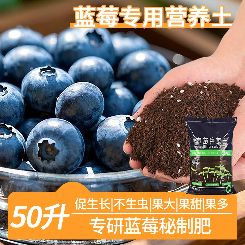 Специальная питательная почва для выращивания черники