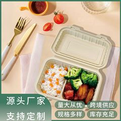 可降解高颜值一次性餐盒两格餐盒环保外卖食品级方形饭盒