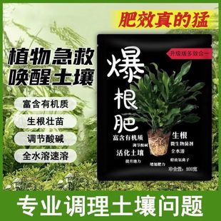 Green plant and flower Universal explosive root fertilizer Microbial agent Plant fertilizer Rooting soil Activator