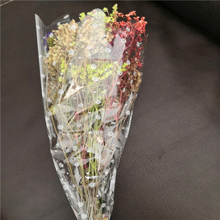 ����ͬ�r�����b���ϱ�Ĥ������OPP���΃��^ͨ��һ�^���OPP���δ�