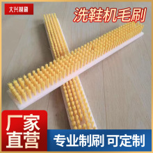 改装洗衣机侧壁毛刷全自动刷鞋机配件小毛刷滚筒洗鞋机尼龙板刷